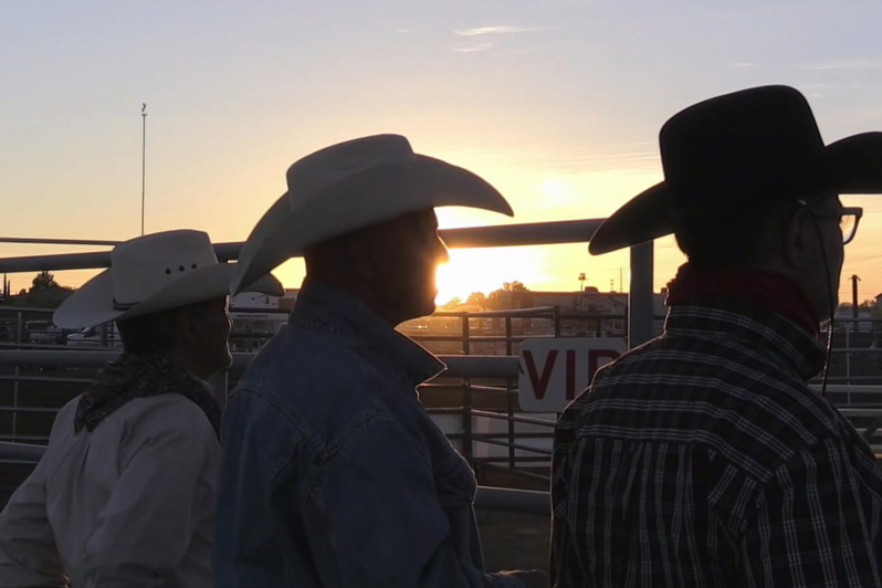 Une course-poursuite entre une vache et un cow-boy sur une autoroute du Michigan Une course-poursuite entre une vache et un cow-boy sur une autoroute du Michigan