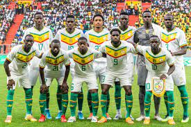 Football : Les "Lions" à Cotonou aujourd'hui
