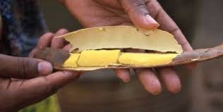 Les bienfaits du néré "nététou" pour la santé Les bienfaits du néré "nététou" pour la santé