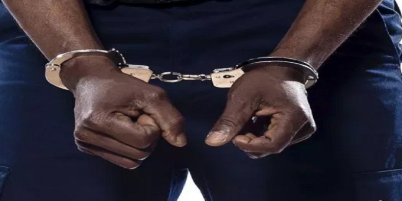 Injures envers Macky Sall: Un soutien de Sonko arrêté par la Section de Recherches