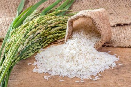 Inde : après le riz brisé, les expéditions de riz blanc non-basmati sont désormais suspendues