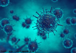 La grippe : Une lutte annuelle contre un ennemi en constante évolution La grippe : Une lutte annuelle contre un ennemi en constante évolution