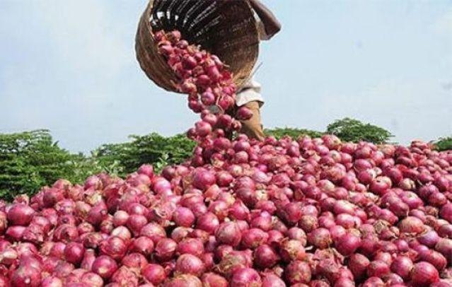 Hausse du prix de l'oignon au Sénégal: Le directeur du Commerce intérieur annonce une baisse