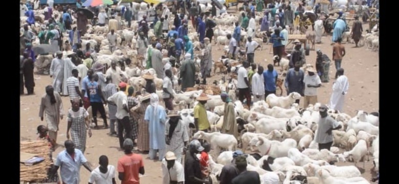 Marché hebdomadaire de Dahra : Deux personnes meurent en 2 heures ce dimanche