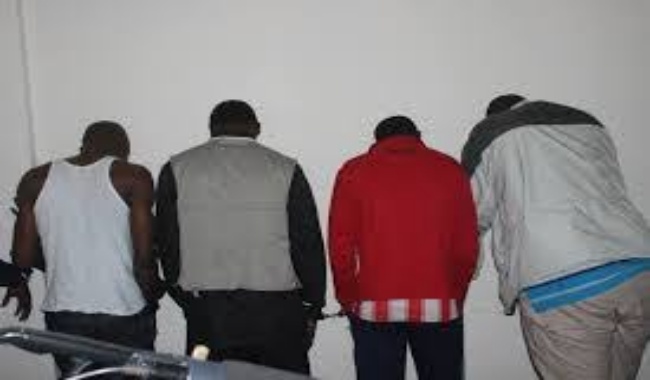 Vols de bétails à Thiès: 4 malfaiteurs arrêtés par la BR, 2 armes saisies