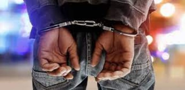 Thiès : Arrestation d'un Chef de Gang, la Carrière du Lutteur Aladji Gaindé en Péril