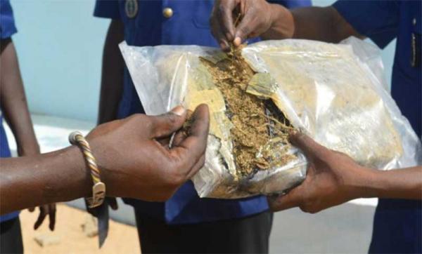 La BR de Saly appréhende le piroguier impliqué dans le débarquement de 240 kg de drogue
