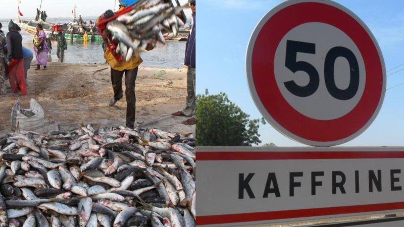 Pénurie de poisson et flambée des prix à Kaffrine
