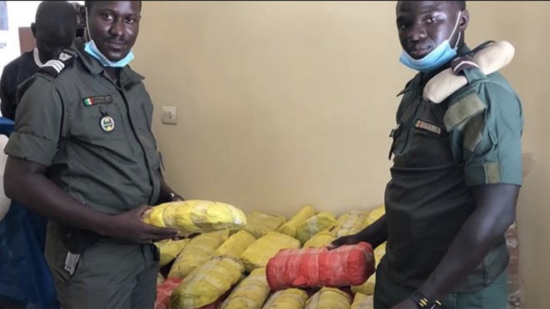 Arrestation d'un taximan dealer à Mbour : Saisie de 37,2 kg de chanvre indien par la police