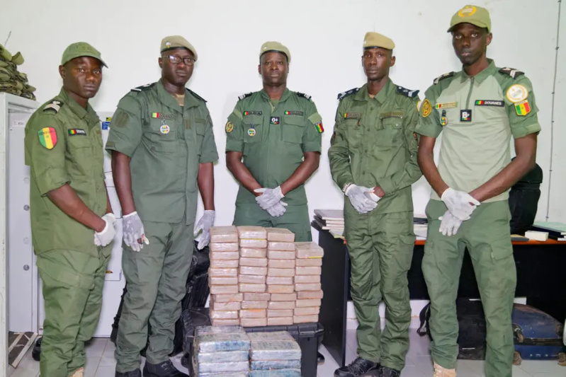 Saisie historique de 1137,6 kg de cocaïne à Kidira : Un coup de maître de la douane sénégalaise