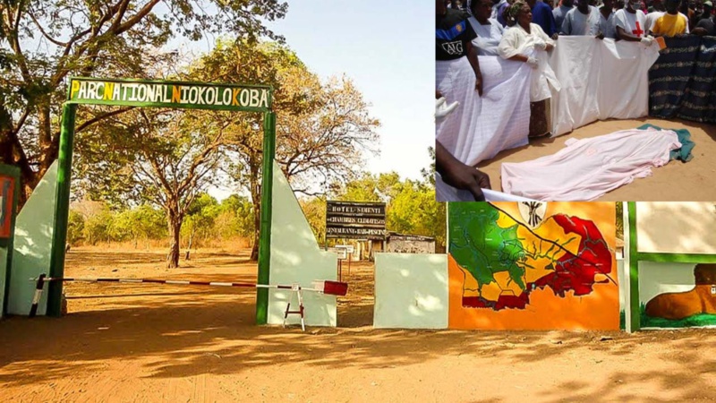 Découverte d'un corps sans vie dans le parc national de Niokolo Koba Découverte d'un corps sans vie dans le parc national de Niokolo Koba