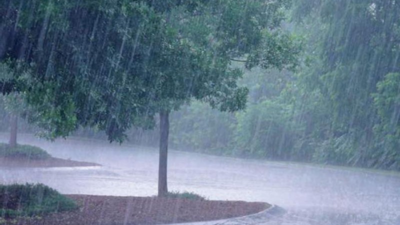 Signes annonciateurs de l'hivernage à Kédougou : Bandafassi sous de fortes pluies Signes annonciateurs de l'hivernage à Kédougou : Bandafassi sous de fortes pluies