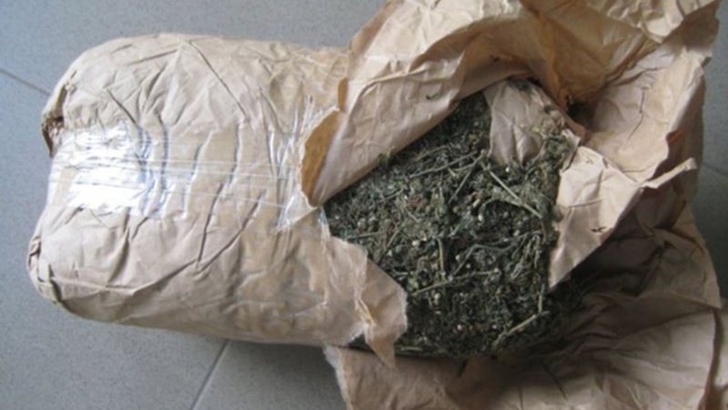 Arrestation à Mbacké : Un individu intercepté en possession de 4 kg de cannabis