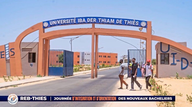 Lancement d'une nouvelle filière à l'Université Iba Der Thiam de thies: gestion et commercialisation des produits locaux