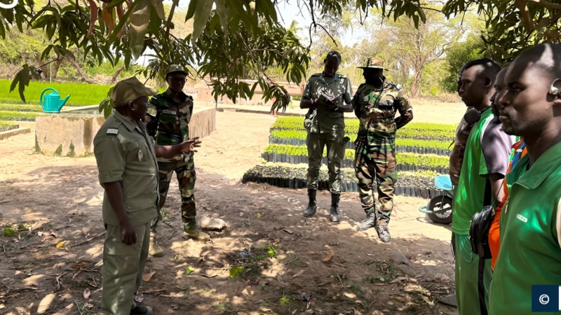 Le rôle précurseur de Notto dans l'exploitation des pépinières salué par les autorités Le rôle précurseur de Notto dans l'exploitation des pépinières salué par les autorités