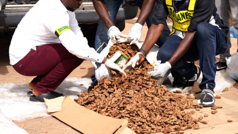 Saisie Inédite de Cocaïne à l’AIBD : Un Coup de Filet Spectaculaire des Douanes Sénégalaises