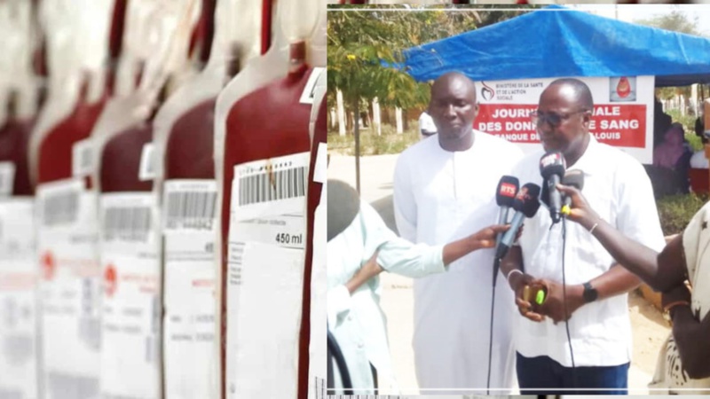 Saint-Louis : La Banque de Sang en Difficulté face à la Demande Croissante des Structures Sanitaires Saint-Louis : La Banque de Sang en Difficulté face à la Demande Croissante des Structures Sanitaires