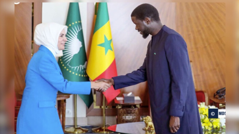 Bassirou Diomaye Faye reçoit une ministre turque avec un message d'Erdogan Bassirou Diomaye Faye reçoit une ministre turque avec un message d'Erdogan