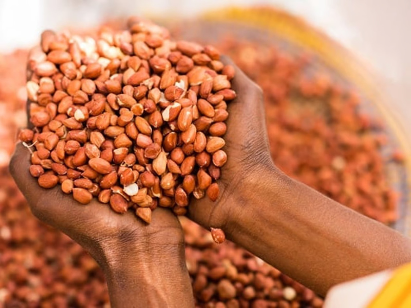 Vente frauduleuse de semences à Malem Hodar : Un camion intercepté avec 265 sacs d’arachide subventionnés Vente frauduleuse de semences à Malem Hodar : Un camion intercepté avec 265 sacs d’arachide subventionnés