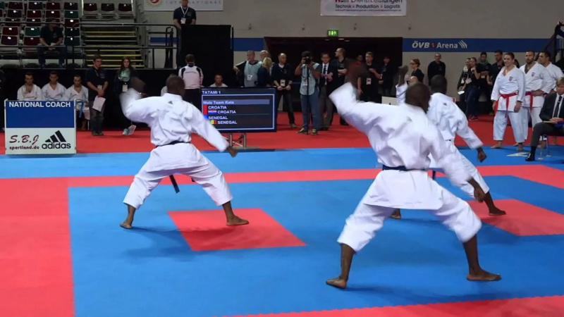 Championnat national de karaté au Sénégal ce week-end Championnat national de karaté au Sénégal ce week-end