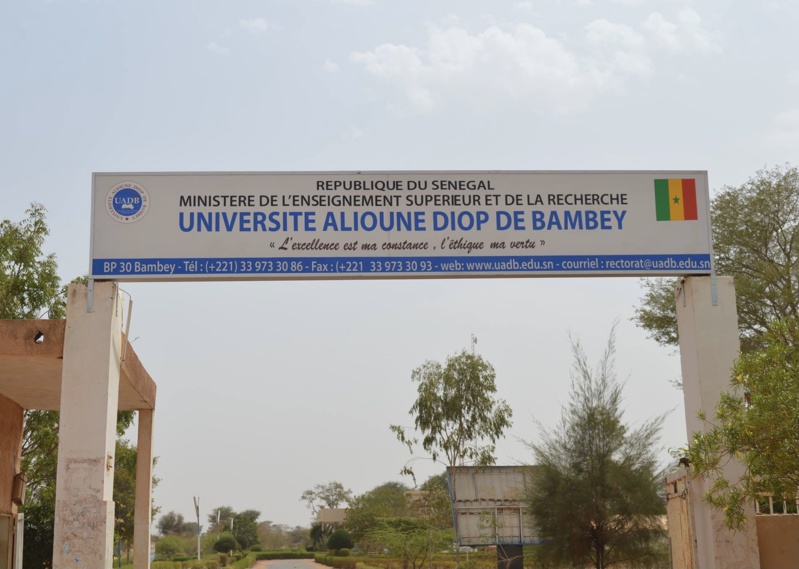Concours CAMES 2024 : L’université Alioune Diop atteint un taux de réussite de 82,35 % Concours CAMES 2024 : L’université Alioune Diop atteint un taux de réussite de 82,35 %