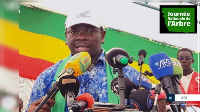 Journée de l'Arbre à Mérina Dakhar : Un Engagement Collectif pour un Développement Durable Journée de l'Arbre à Mérina Dakhar : Un Engagement Collectif pour un Développement Durable