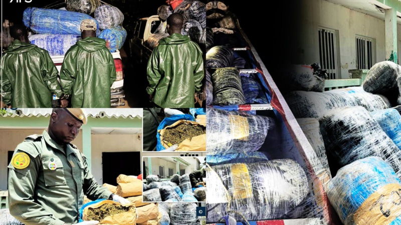 Saisie de 845 kilos de chanvre indien au large de Djifère par la douane sénégalaise Saisie de 845 kilos de chanvre indien au large de Djifère par la douane sénégalaise