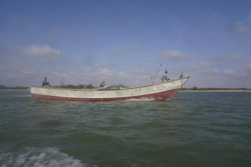 Découverte macabre au large de Dakar : 30 corps retrouvés dans une pirogue dérivante Découverte macabre au large de Dakar : 30 corps retrouvés dans une pirogue dérivante