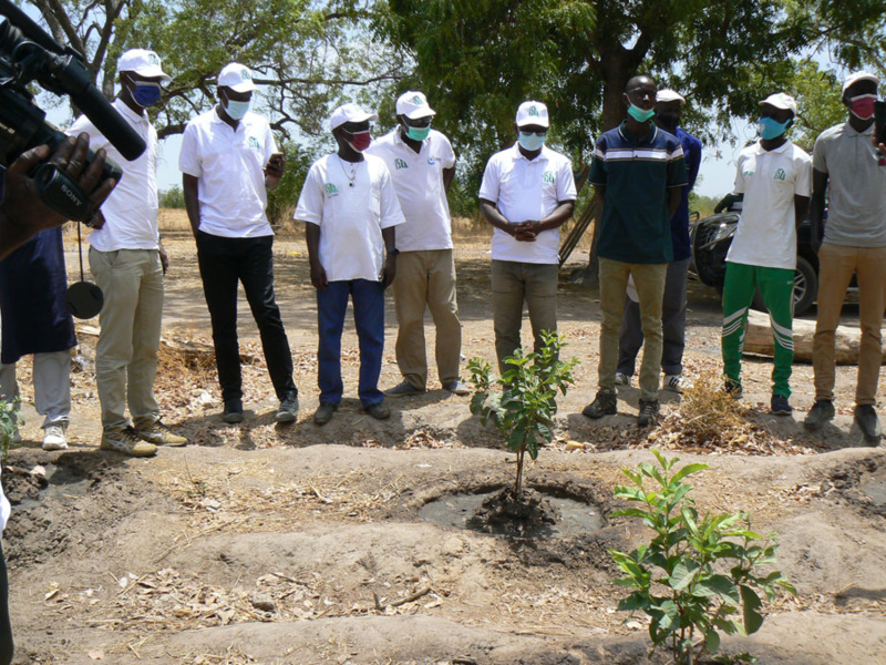L'ISRA inaugure un parc de technologies agricoles pour améliorer les rendements à Tambacounda L'ISRA inaugure un parc de technologies agricoles pour améliorer les rendements à Tambacounda