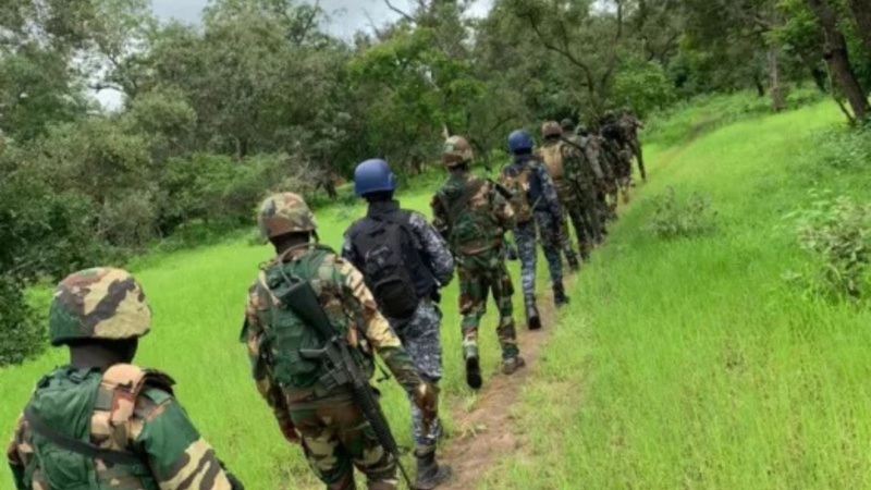 Opération militaire à Bignona : 50 hectares de champs de chanvre indien détruits dans le Nord-Sindian Opération militaire à Bignona : 50 hectares de champs de chanvre indien détruits dans le Nord-Sindian