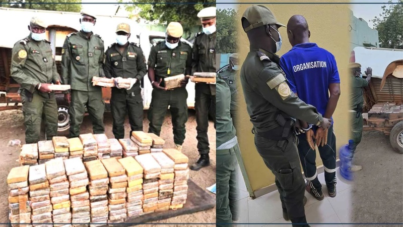 Saisie record à Koungheul : 235 kg de cocaïne interceptés par les Douanes