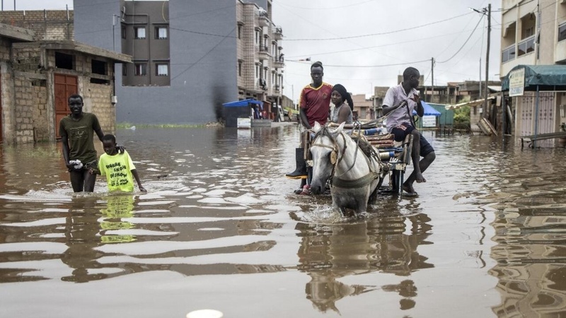 Le Sénégal Adopte une Nouvelle Stratégie de Gestion des Inondations pour les Prochaines Années Le Sénégal Adopte une Nouvelle Stratégie de Gestion des Inondations pour les Prochaines Années