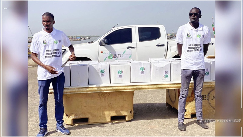 Distribution de 300 carcasses de mouton à Ziguinchor dans le cadre d’un don saoudien Distribution de 300 carcasses de mouton à Ziguinchor dans le cadre d’un don saoudien