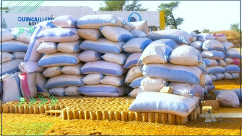 Saisie de 34 tonnes d’arachide vendues à un prix illicite à Mbour Saisie de 34 tonnes d’arachide vendues à un prix illicite à Mbour