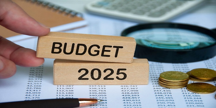 Budget 2025 du Sénégal : Priorités et Perspectives Économiques