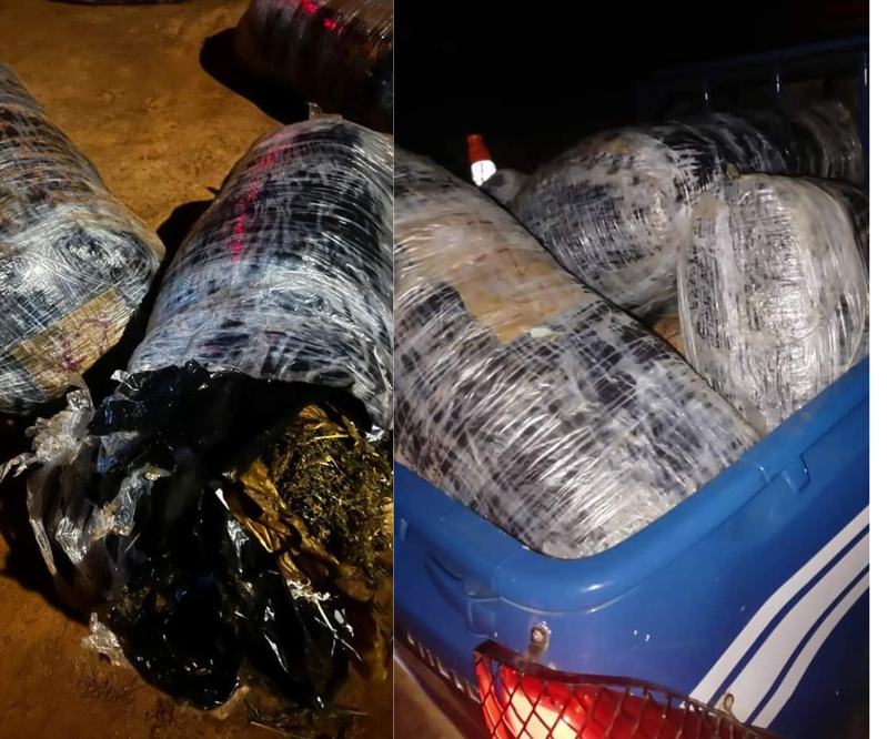 Trafic de drogue à Dakar : Une opération spectaculaire sur les plages