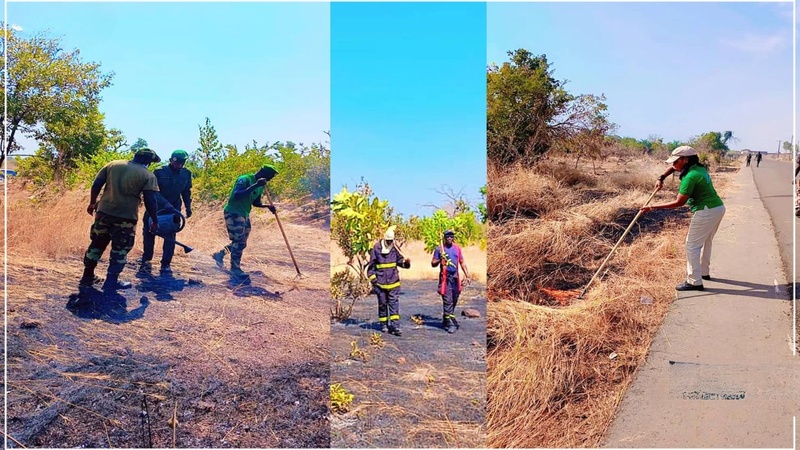 Prévention des Feux de Brousse : Un Bilan Positif dans le Département de Kédougou Prévention des Feux de Brousse : Un Bilan Positif dans le Département de Kédougou