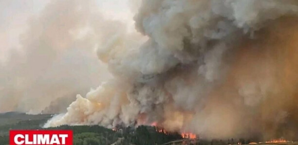 [Avis d'expert] Changement climatique , incendies de Los Angeles : Mbaye Hadj alerte sur la "lourde menace" qui plane sur le monde