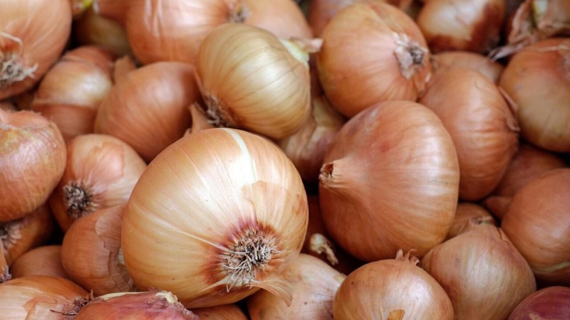 Suspension des importations d’oignon au Sénégal dès le 25 janvier 2025 Suspension des importations d’oignon au Sénégal dès le 25 janvier 2025