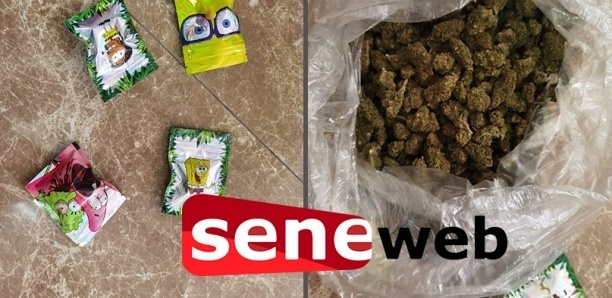 Sicap Mbao : un élève arrêté en possession de 10 sachets de haschich