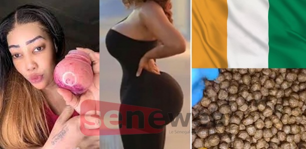 Affaire «Alima Suppo» : la Côte d’Ivoire au cœur du dossier Affaire «Alima Suppo» : la Côte d’Ivoire au cœur du dossier