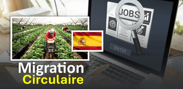 Migration circulaire en Espagne : 24 000 dossiers reçus pour 370 postes