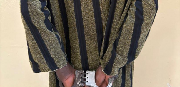 Societe Saint-Louis : meurtre d'un gérant de multiservice, le tueur présumé dit tout Societe Saint-Louis : meurtre d'un gérant de multiservice, le tueur présumé dit tout