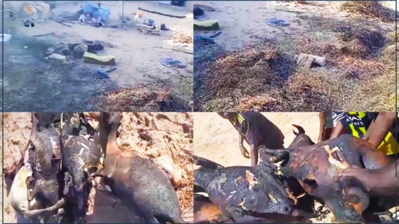 Incendie à Kelle Ndiaye : Dégâts Considérables Mais Pas de Pertes Humaines Incendie à Kelle Ndiaye : Dégâts Considérables Mais Pas de Pertes Humaines