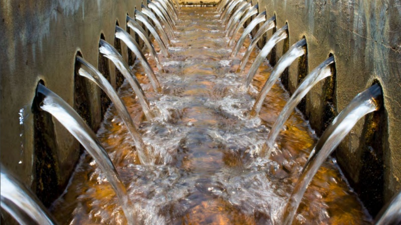Thiès : Les eaux usées recyclées, un atout écologique pour les maraîchers