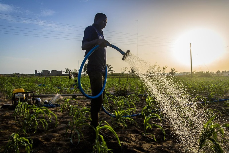 Clôture des entretiens pour 250 emplois agricoles en Espagne