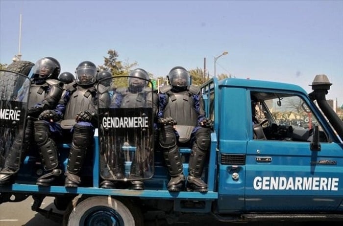 Saisie de drogue et démantèlement d’un site clandestin : vaste opération de la Gendarmerie nationale