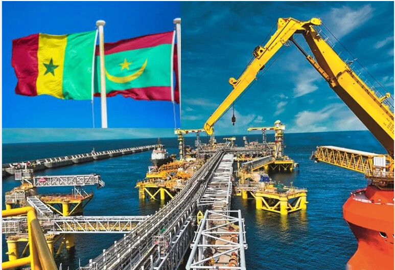 Fuite gaz au large du Sénégal : Greenpeace accuse BP de mépris pour l’environnement Fuite gaz au large du Sénégal : Greenpeace accuse BP de mépris pour l’environnement