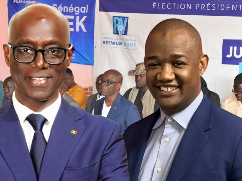 Thierno Alassane Sall : Une opposition responsable face aux apprentis de Pastef* Thierno Alassane Sall : Une opposition responsable face aux apprentis de Pastef*