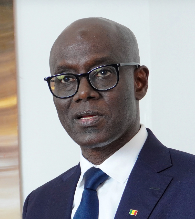 Thierno Alassane Sall : « Une amnistie sélective est pire qu’une amnistie totale… » Thierno Alassane Sall : « Une amnistie sélective est pire qu’une amnistie totale… »